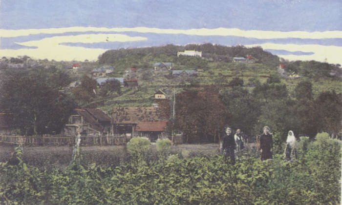 Brodsko Vinogorje 1909. god.