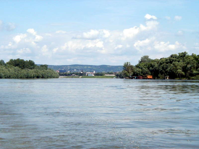 Sava